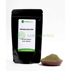 Pontianak Green Horn